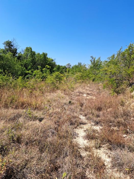 Продава се Парцел в Стара Загора, Център - 957 кв.м за 92 €/кв.м - Снимка #12