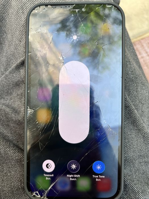 Айфон 12 Про Макс / iPhone 12 Pro Max