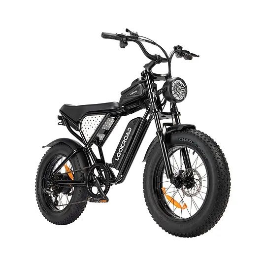 Bicicletă electrică LOOKROAD L20 MIN – 1000W, baterie 48V 15,6Ah