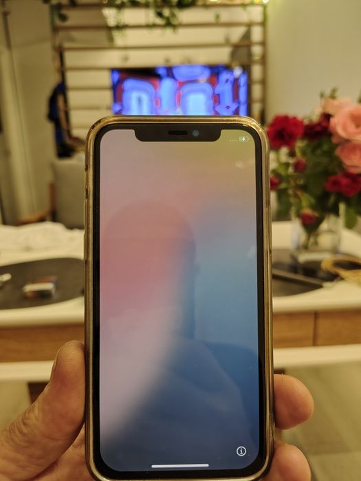 IPhone 11 Pro, 252 gb
