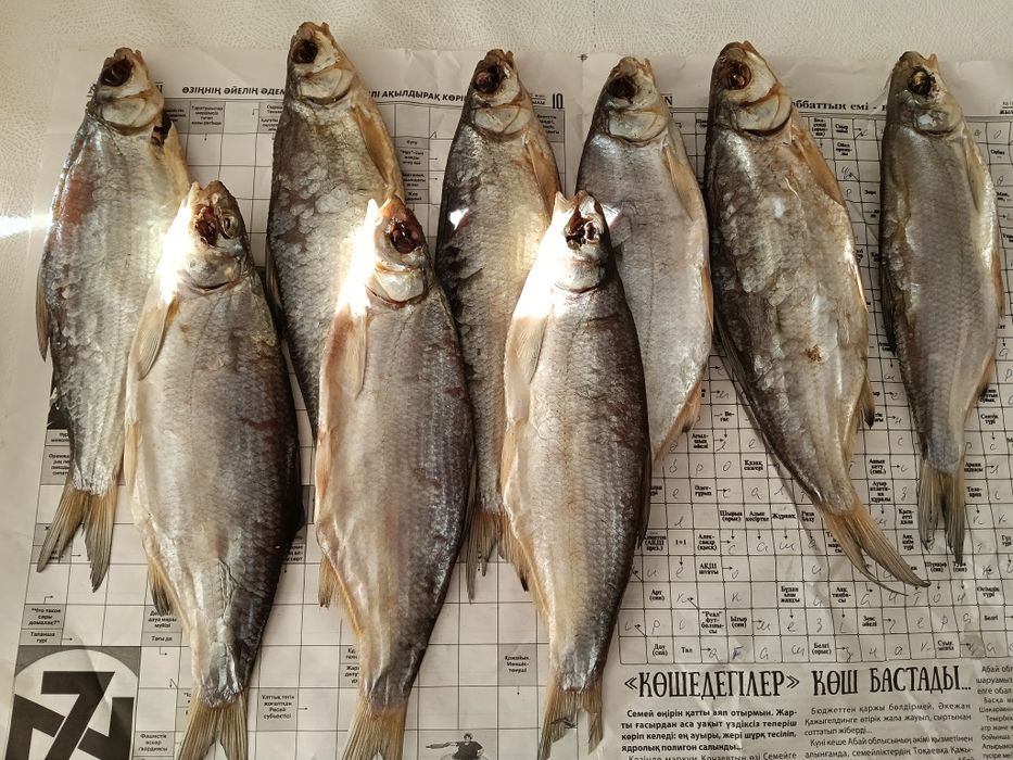 Продам вяленные рыбы