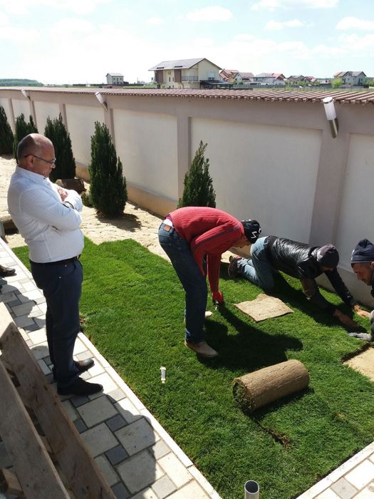 Gazon rulou + montaj