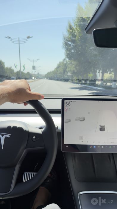 TESLA Model Y Standart 2024