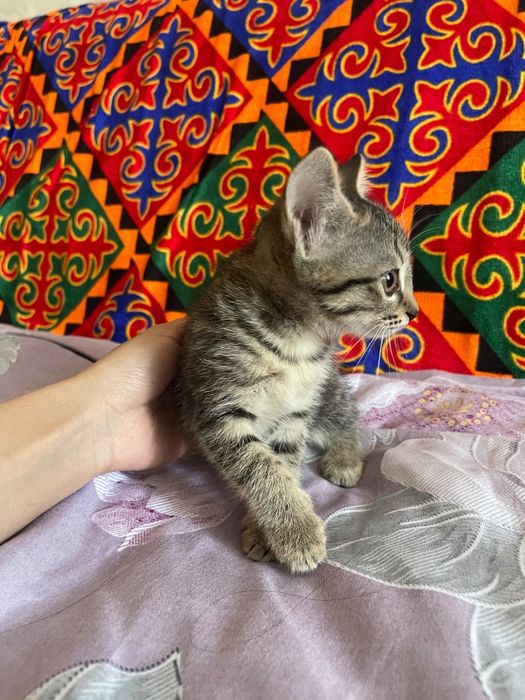 Отдвм В добрые руки