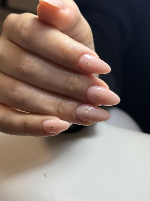 Manichiura Sector 3 Dristor