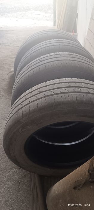 Летние шины Continental