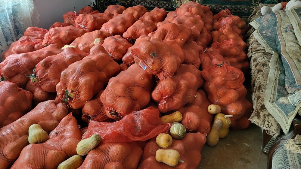 Аскабак сатылады! Тыква продаются!