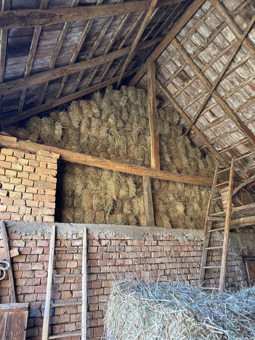 Vând baloții fân, otavă 2025