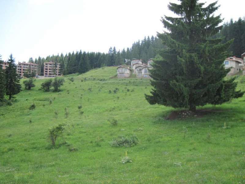 Продава се Къща в к.к. Пампорово - 2317 кв.м за 56 €/кв.м - Снимка #8