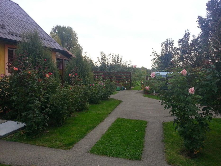 Vand casa in Sabolciu