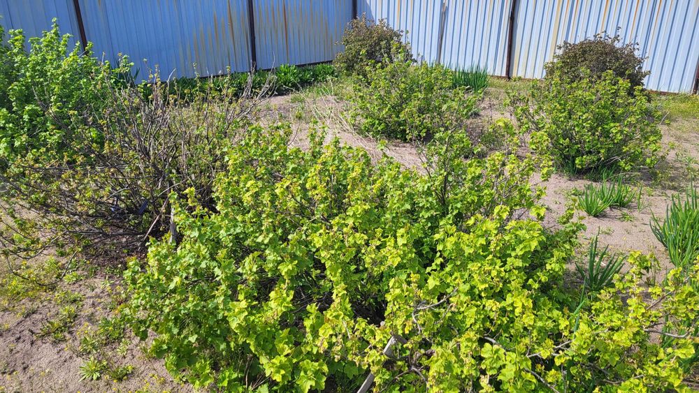 Продам земельный участок