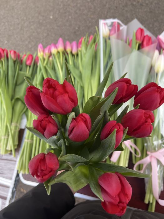 Продам тюльпаны по 650тг