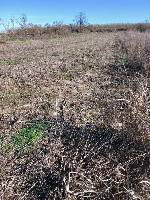 Земеделска земя(двор)