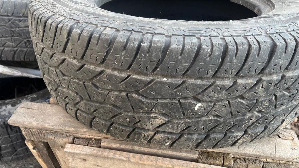 Шины всесезонная
