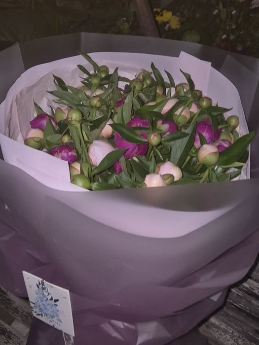 Пионы майские букет