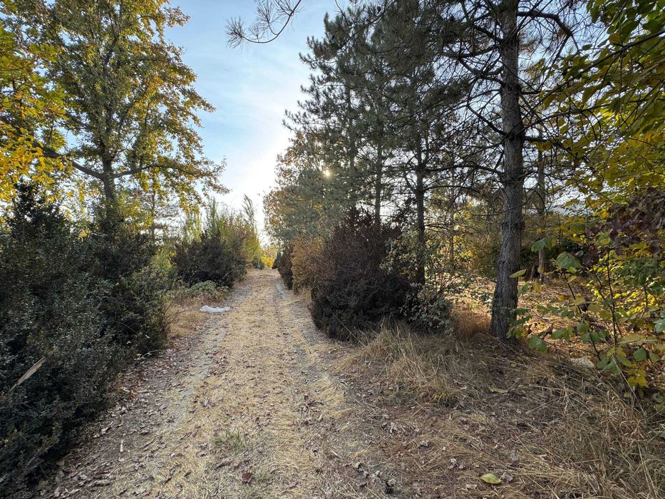 Продажа Земельного участка в Красногорске, 2,62 Га, кадастр (87648)