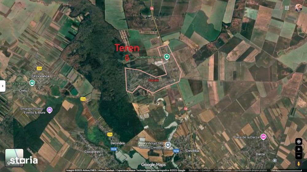 Refugiu la marginea padurii — 2822 mp de liniste in Cocani.