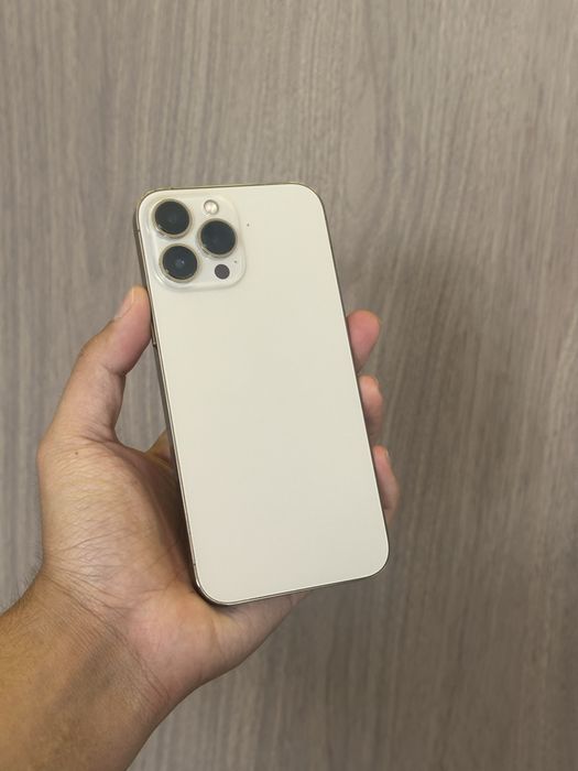 Iphone 13 Pro Max 256GB 77%