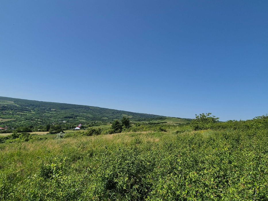 Teren intravilan Tomești