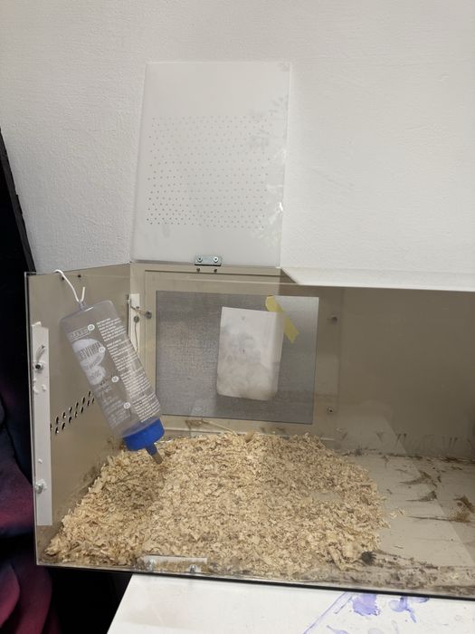 Cusca iepuri pitic/ hamsteri, facuta la comanda.