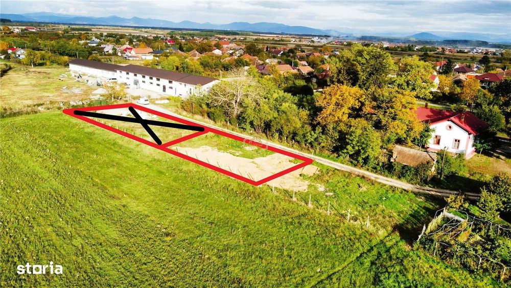 VIDEO | Teren intravilan - 657 mp | Micula, Satu Mare