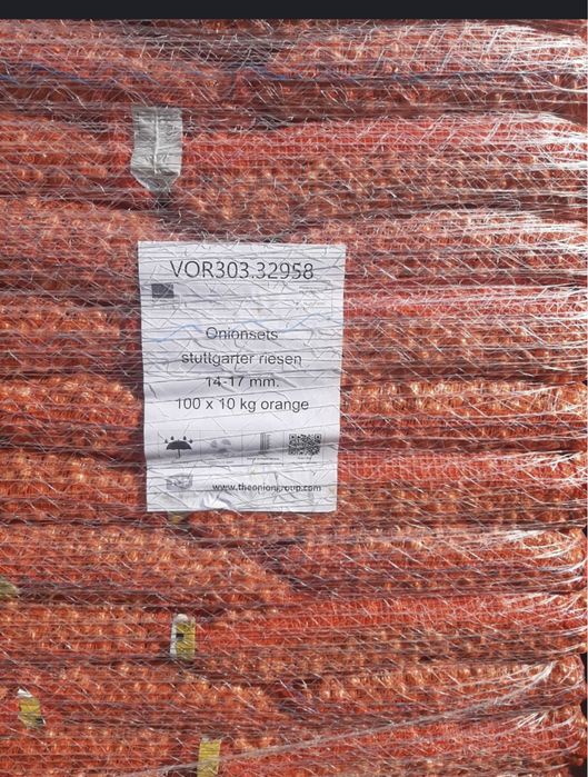 Arpacig stuttgarter cal 1 origine olanda