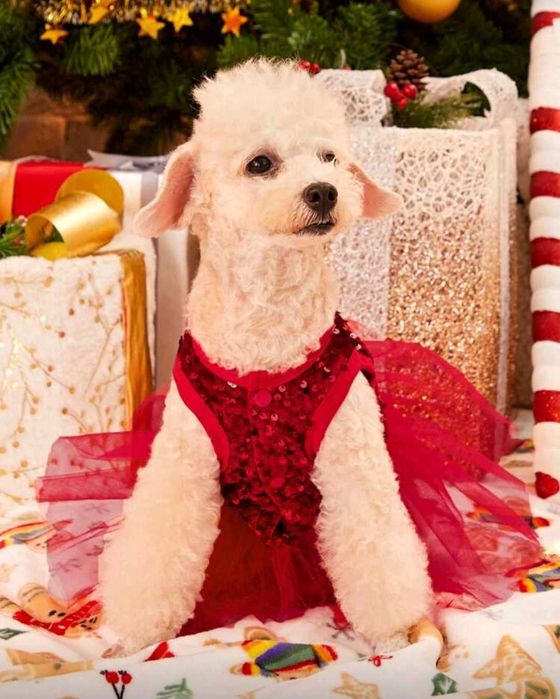Коледна парти рокля за куче/коте