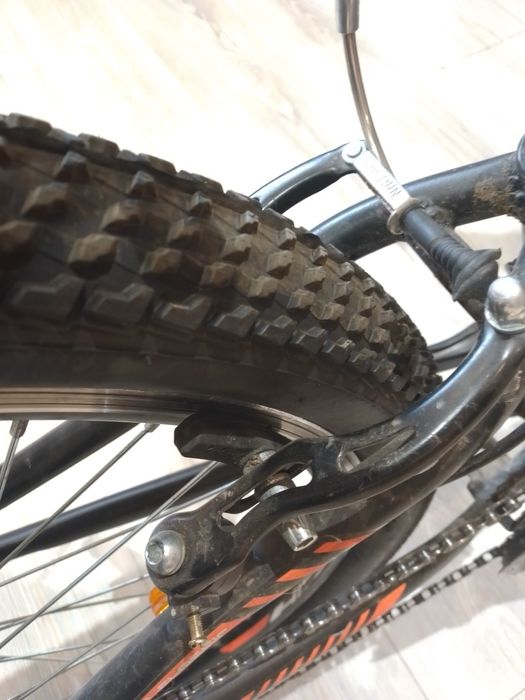 Bicicleta Rich Alpin