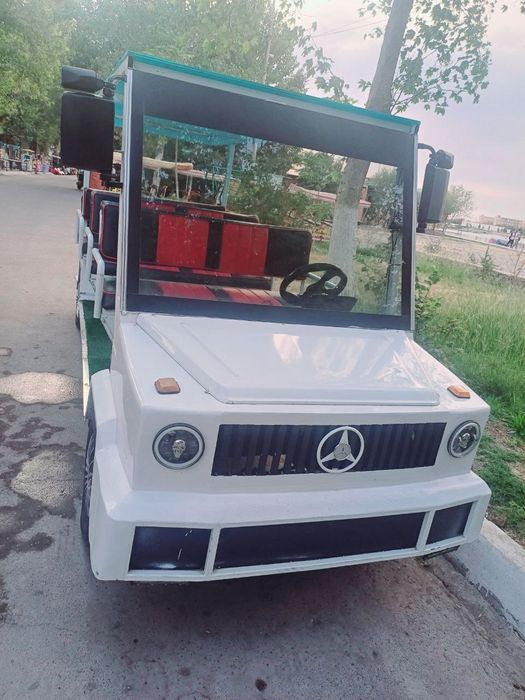 Elektron Golf Kara