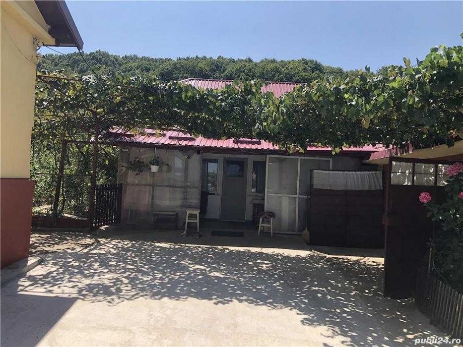 Vand Casa Dobrogostea