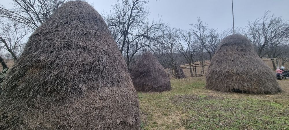 Fan de vanzare vrac și țuica