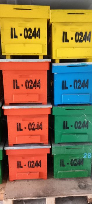 Se vinde stupi de albine.