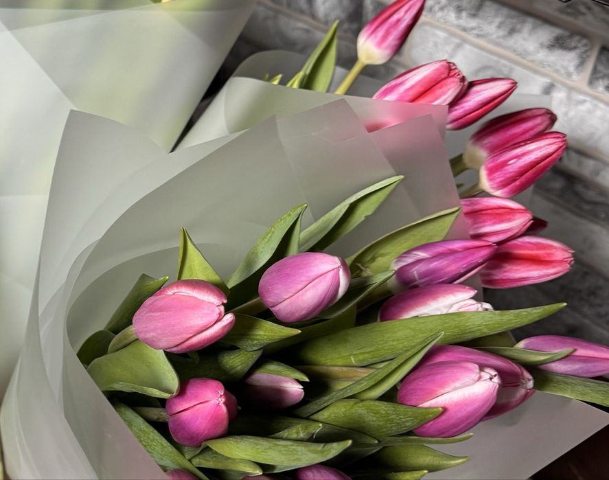 Продажа тюльпанов