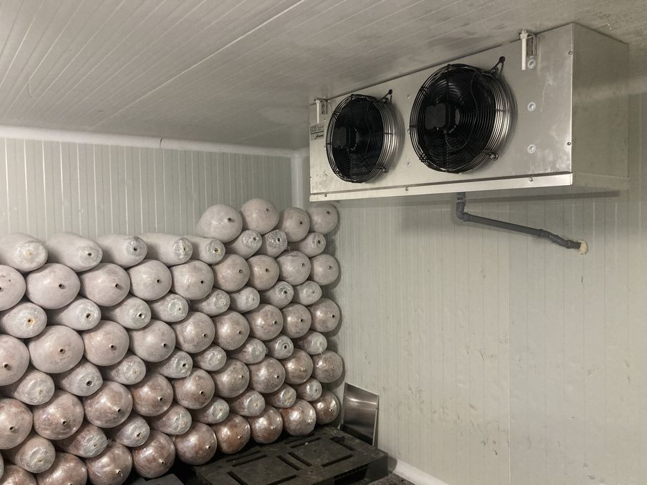 Camera frigorifica la cheie