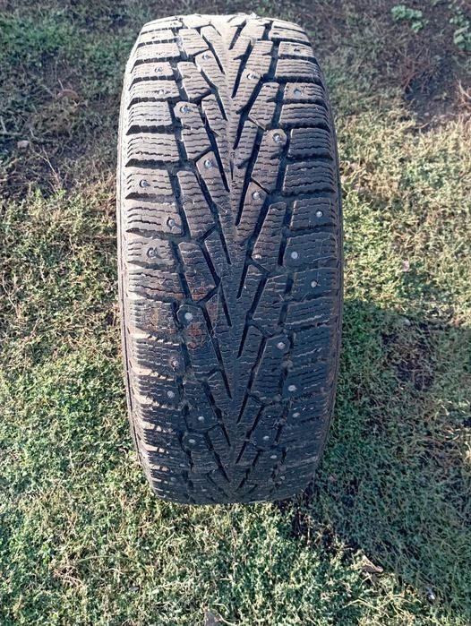Шины кардиант зимние