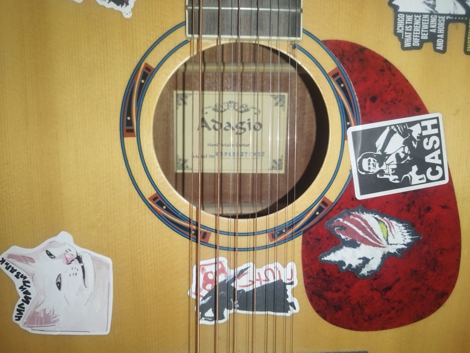 12 струнная гитара