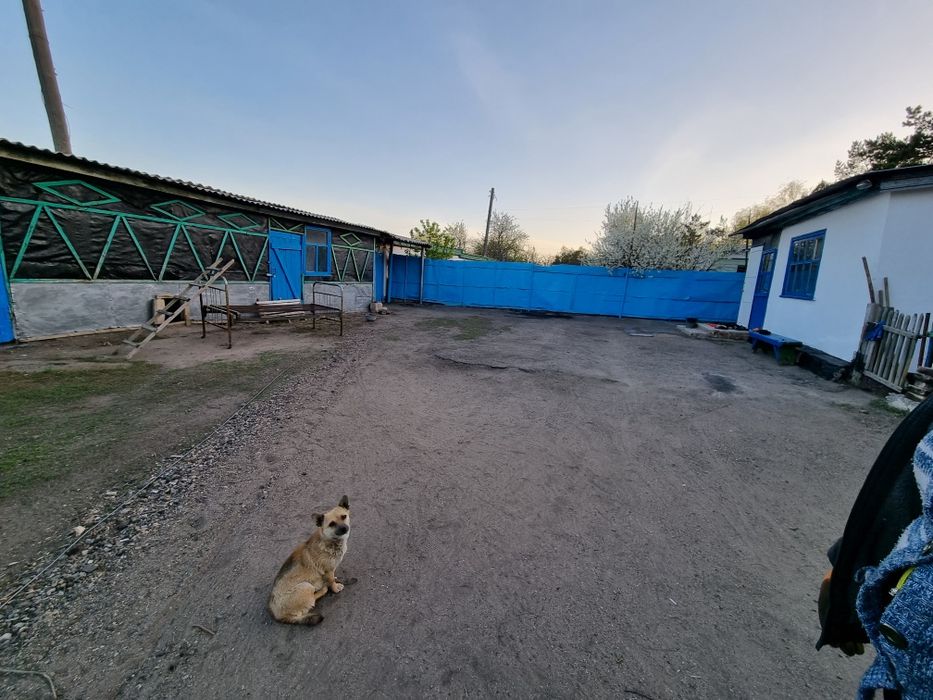 Продам дом в Ростовке