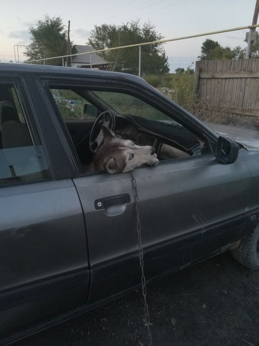 Продам не дорого