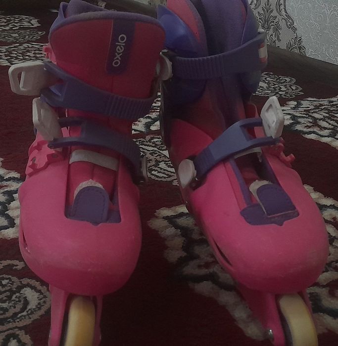 Rolik, pushti va binafsha rangda,