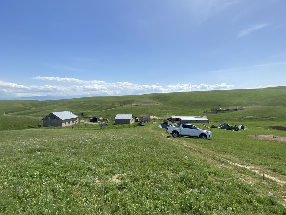 Продам фазенду срочно