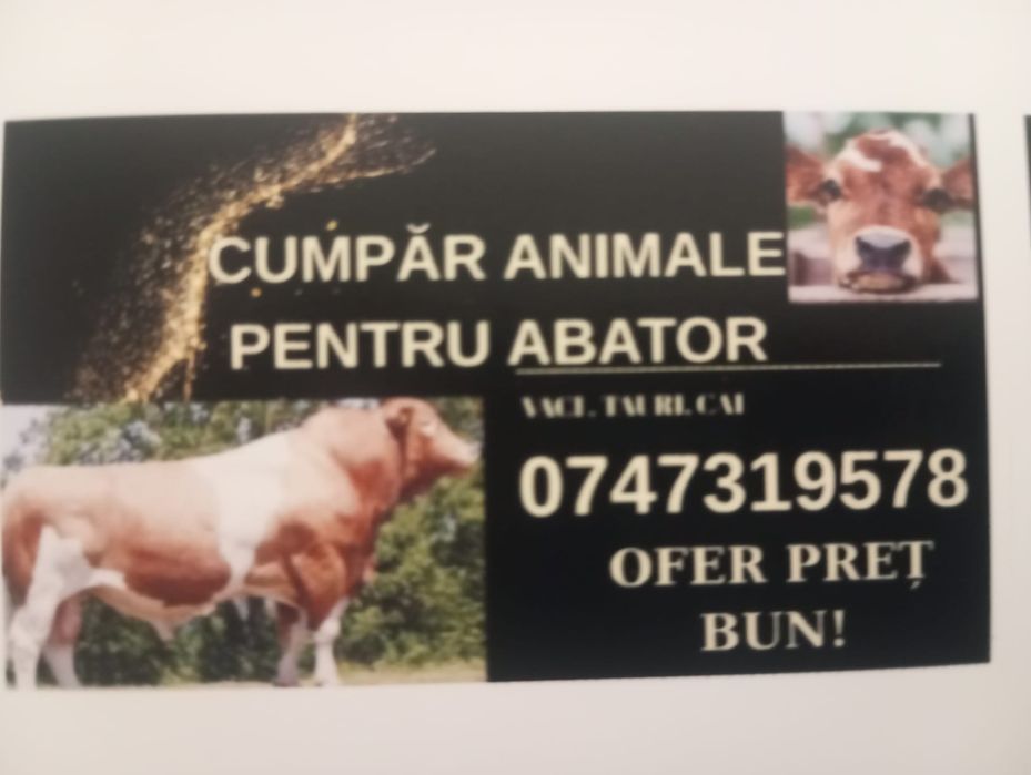 Vaci tauri cai reforme