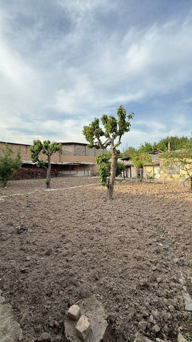 Shaxriston metro yonida 20 sotx uchastka yer xisobida sotiladi