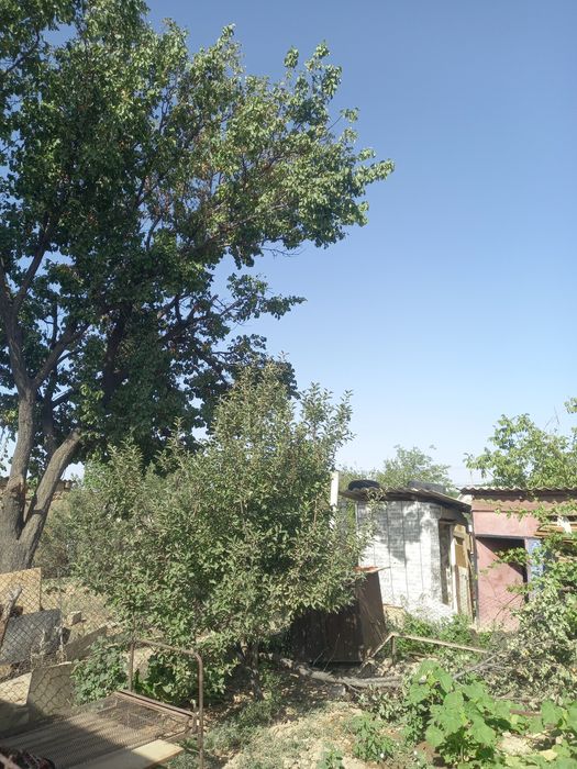 Үй сатылады Дом продаетсия