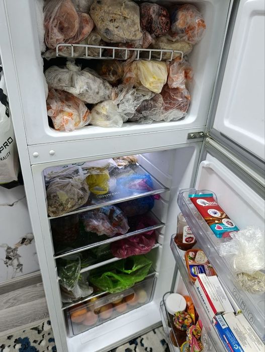 Холодильник Shivaki