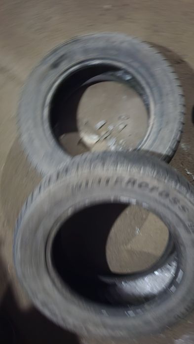 Шины зимные парв