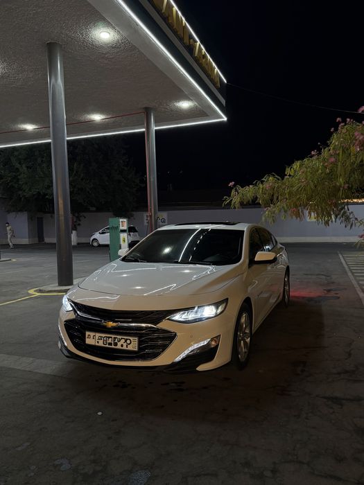 Malibu primier