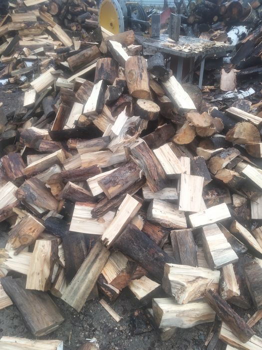 Дрова от 500 т..