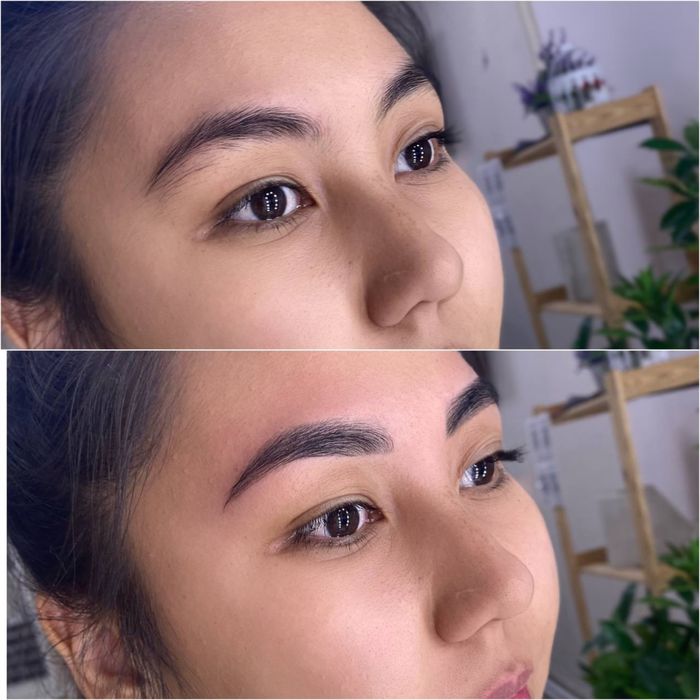 Бровист в Майкудуке