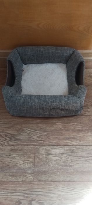 Отдаётся кошка в хорошие руки