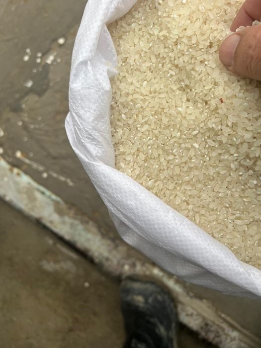 Сорт  «ЛИДЕР” Высокого Качества